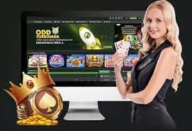 YG9 မိုဘိုင်းအက်ပ်မှတစ်ဆင့် Live Casino ကစားနေသောမြင်ကွင်း